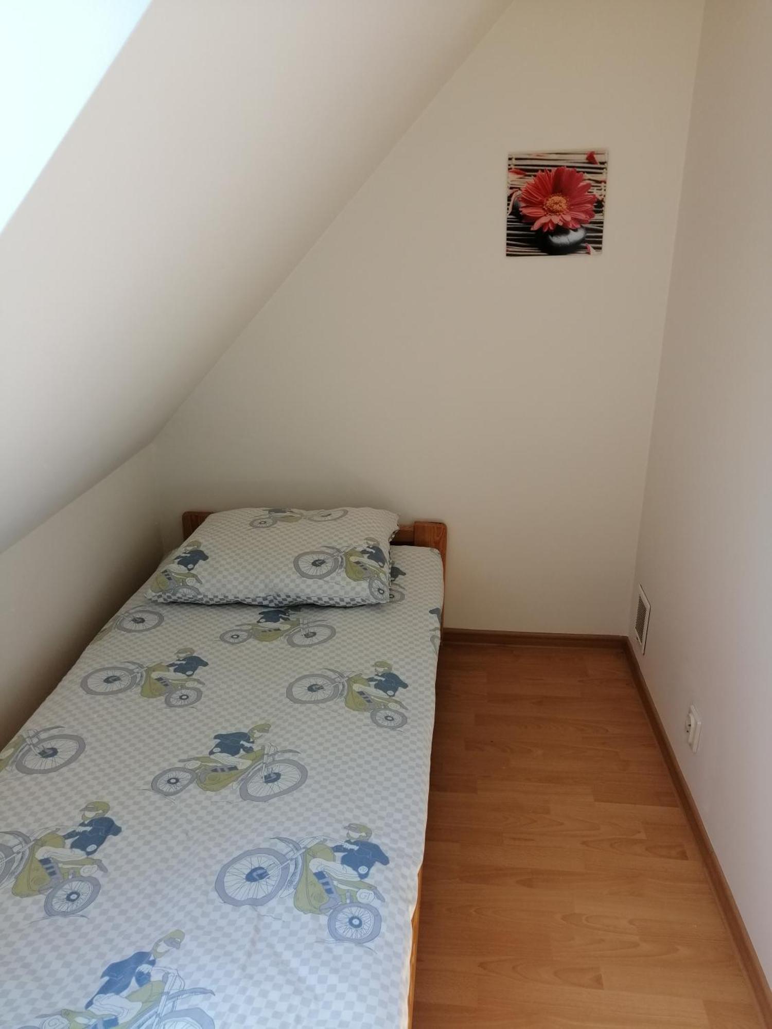 Domki Alex I Maciek Pleśna المظهر الخارجي الصورة